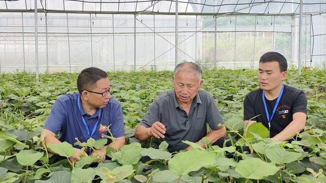 清单化推进群众身边具体实事和“一镇街一实事”办理