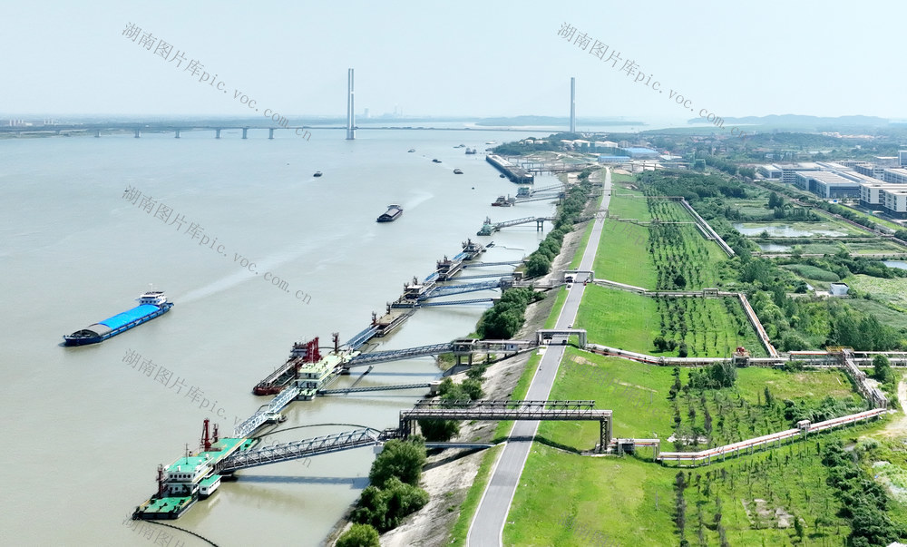 绿色风景线