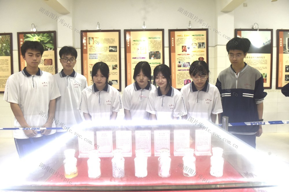 禁毒 珍爱生命