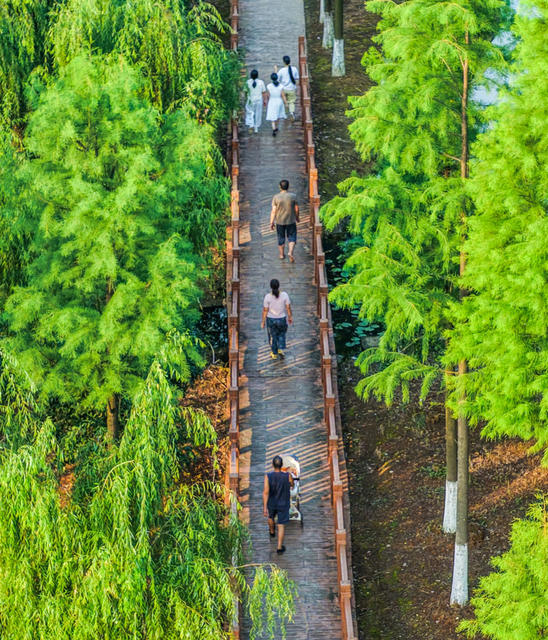 公园
生态
道县
