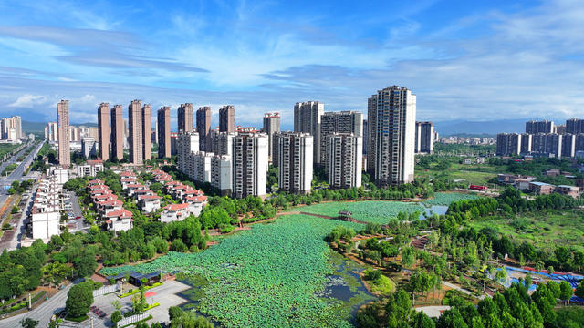 公园 绿景