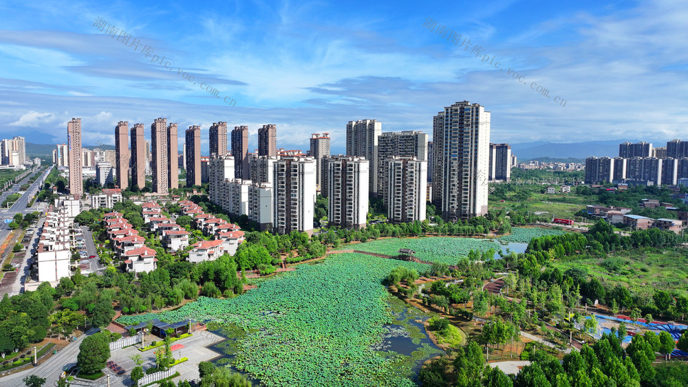 公园 绿景