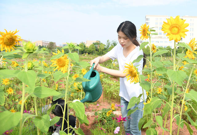 毕业季，花开