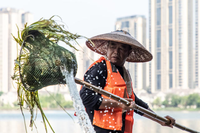 让  湖水  更清