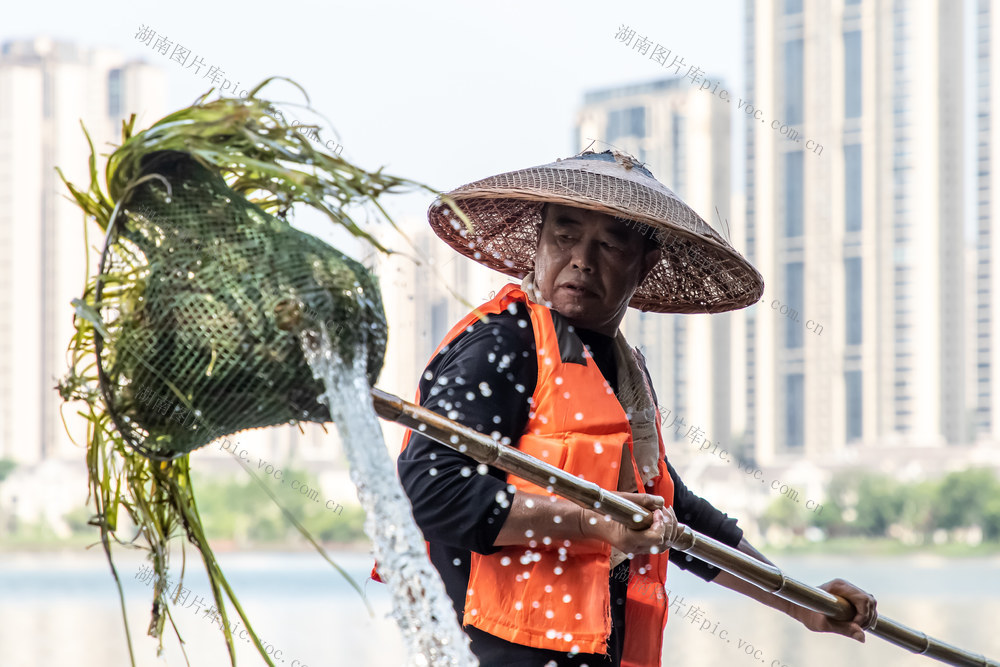 让  湖水  更清