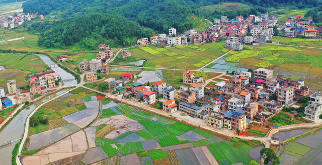 蓝山：盛夏“双抢”忙