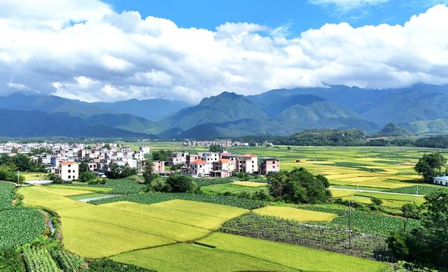 夏景如画