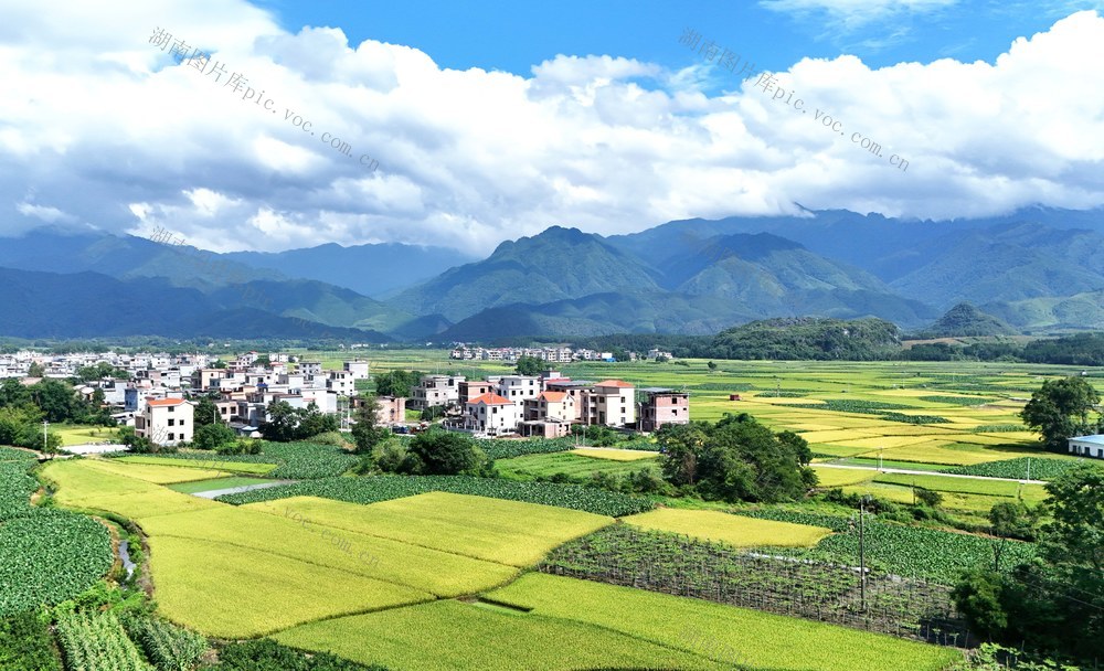 夏景如画