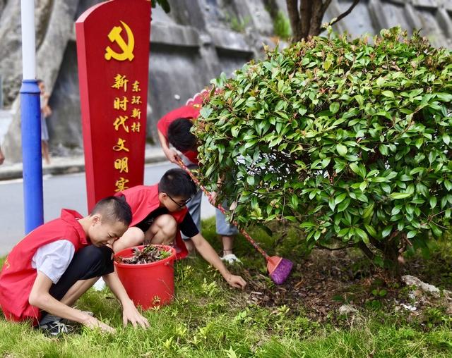 欢乐劳动过暑假
