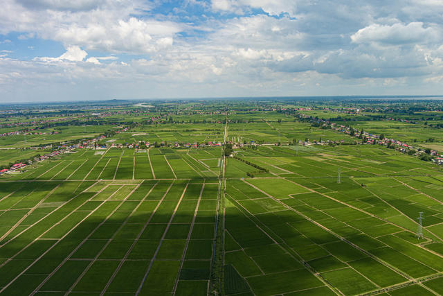 农业  高标准农田  农业  村民   经济   发展   农民  农村