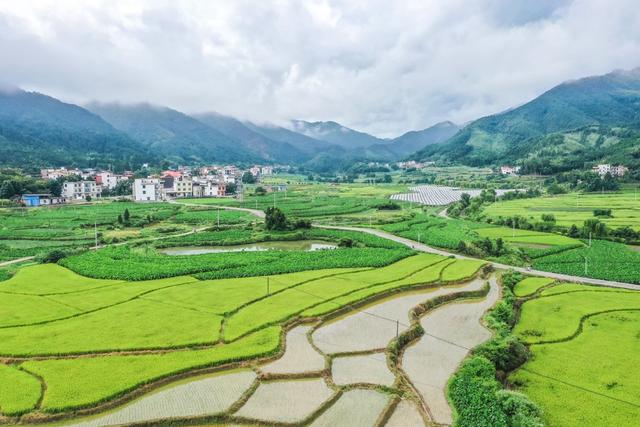乡村 田园 农村 生态 风景 夏日