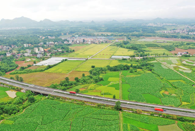 嘉禾：路畅景美产业兴