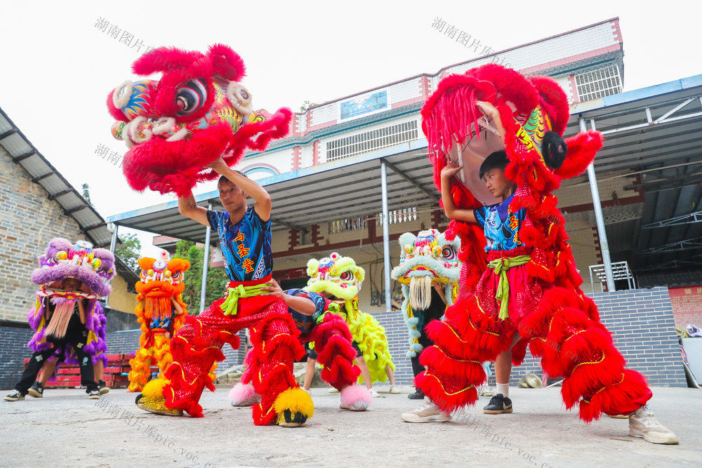 暑假  舞狮  传承  技艺
