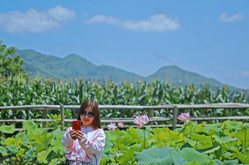 湖南桂东 夏 乡村 景 水湾村 游客