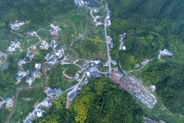 湖南桂东 清凉 “避暑谷” 致富门 青竹村 旅居客人