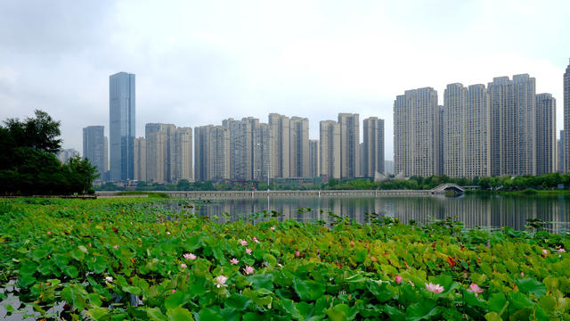 夏日梅溪湖