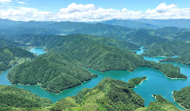 湿地 生态 保护 环境 向好 白云湖