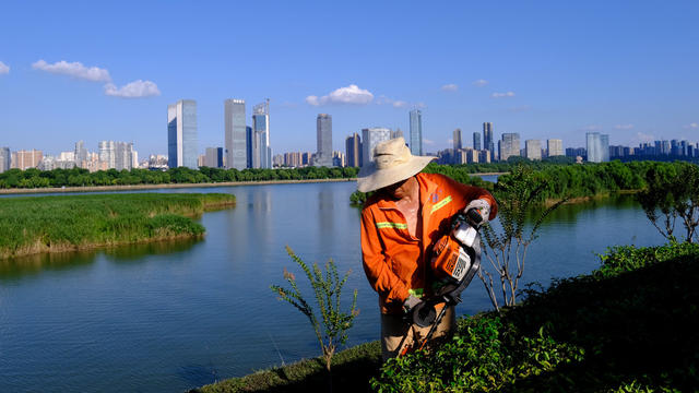 城市绿化