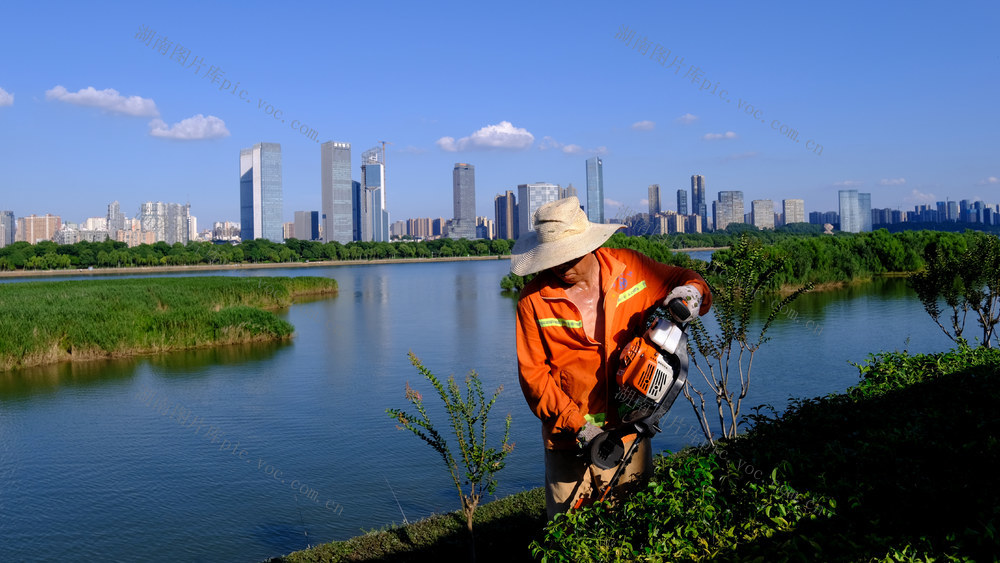 城市绿化