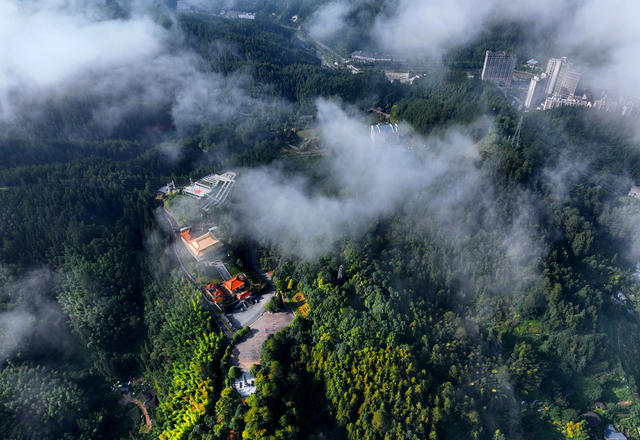 湖南桂东 挨城森林公园 三台山 云雾缭绕 梦幻画卷 齐云峰