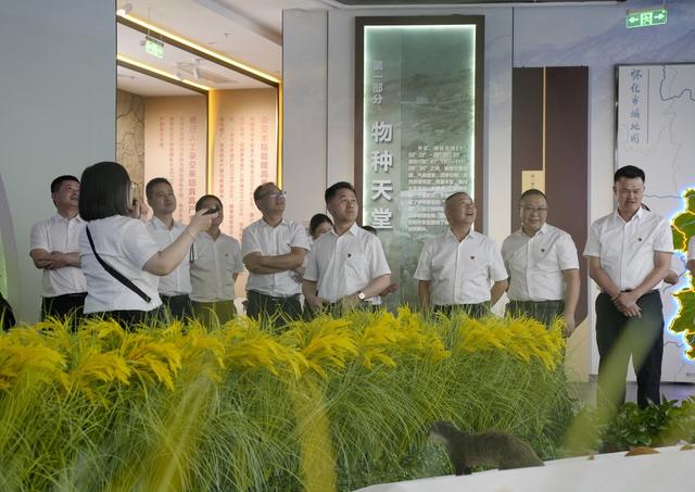 袁隆平、杂交水稻、博物馆、旅游、游客