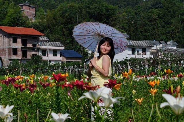 湖南桂东 以花为媒 富民  新路径