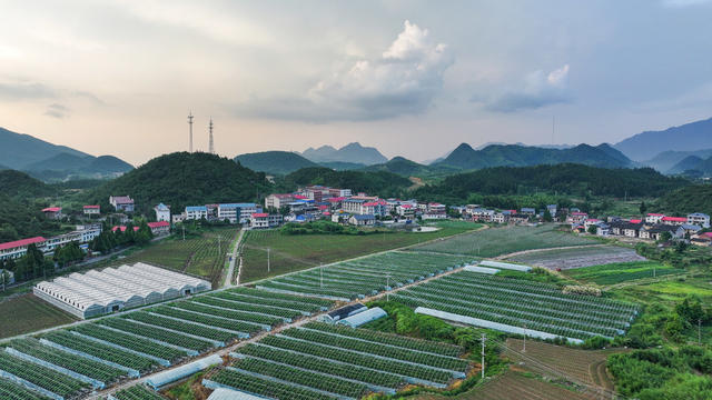 航拍  郴州市  苏仙区  五盖山镇  大奎上  苏仙硒岭生态休闲农业开发有限公司  蔬菜种植 
 基地  五盖山镇  村民  特色种养殖业  大棚产业  助农增收 
 乡村振兴 