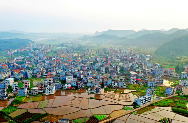 嘉禾：夏日乡村晨曦美