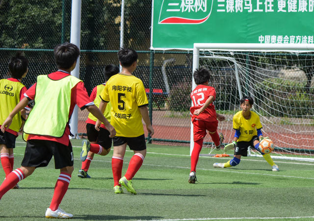 少年  足球  