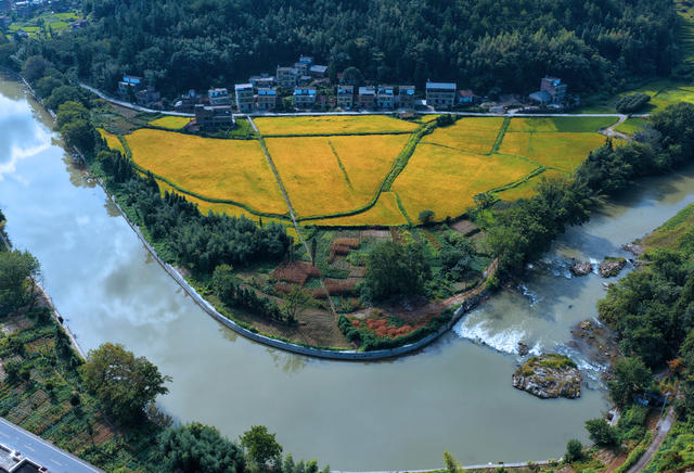 湖南桂东 土地整治 景 沤江 稻飘香
