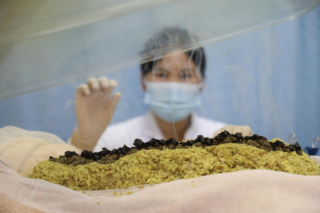 迎接 医生节