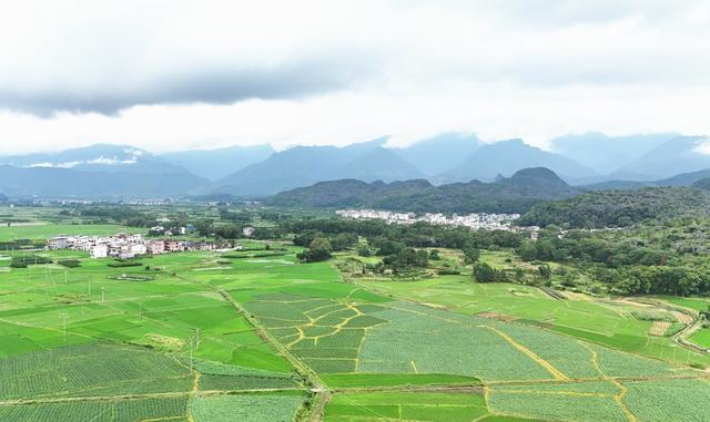 初秋田园 绿意盎然