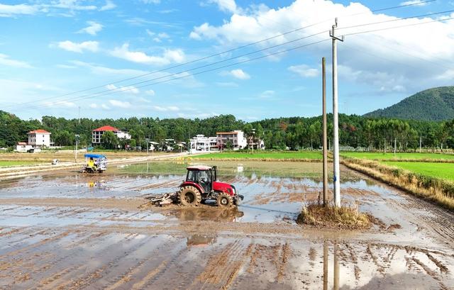 处暑来临农事忙
