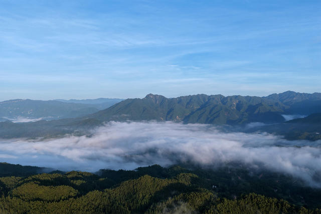 湖南桂东 林 “长江” 流云 “海”浪