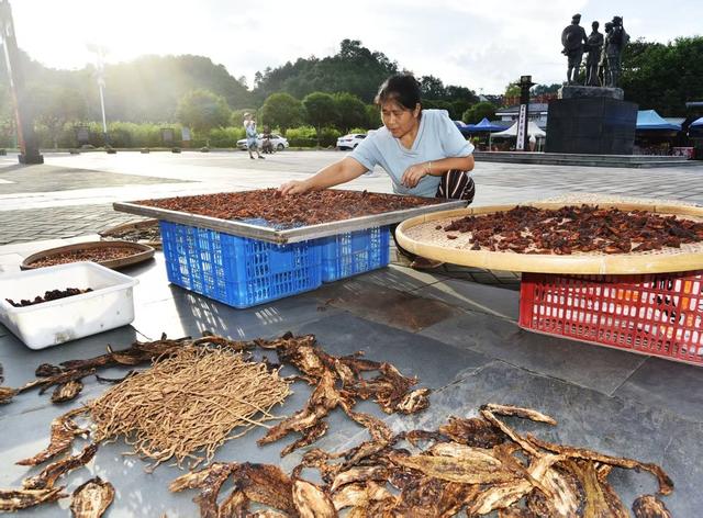 汝城：农特产业助增收