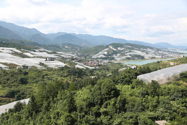 投稿