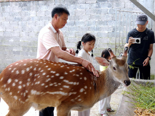产业文旅融合