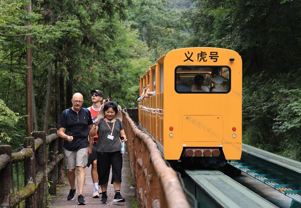 张家界 入境游 