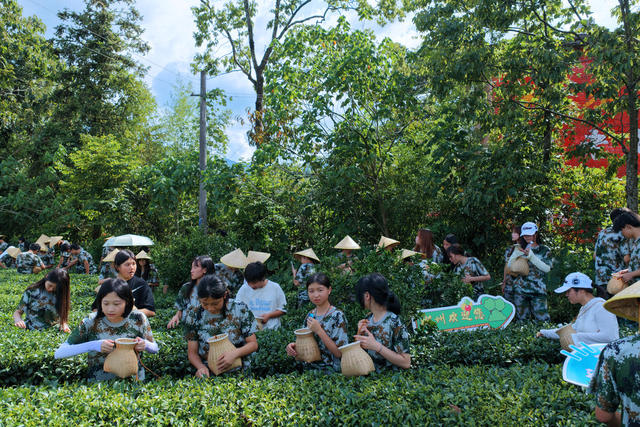 郴州市 科龙职校 “探秘玲珑茶香” 研学