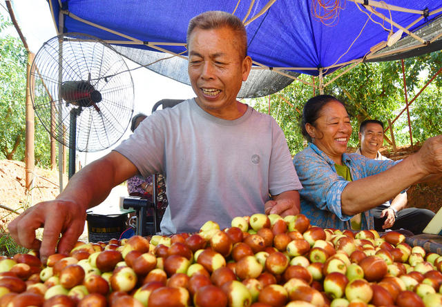 嘉禾：特色产业助增收