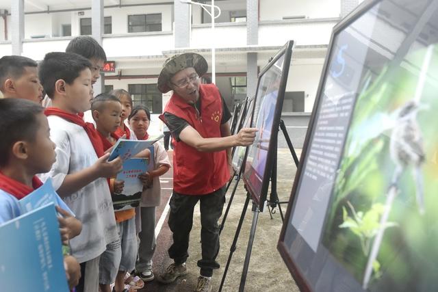 候鸟  保护  护鸟  爱鸟  科普  学生  校园  蓝山  湖南  