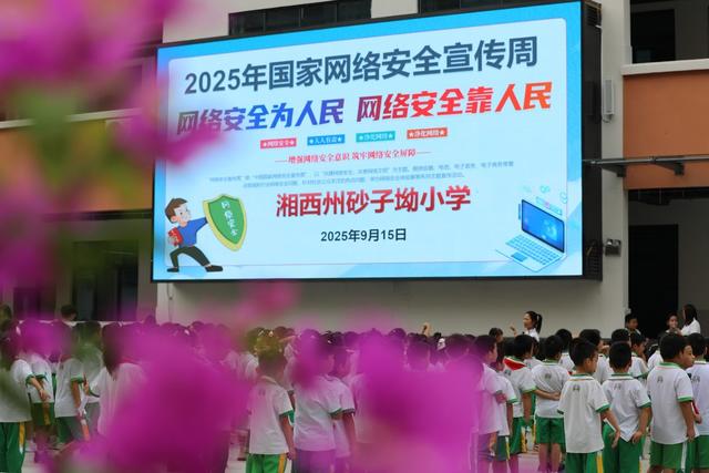 小学 土家族 学生 苗族 国家 网络 安全 宣传 人民