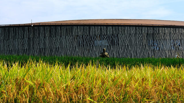 隆平水稻文化园