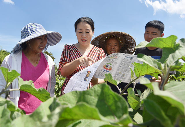 嘉禾：惠农补贴惠农户