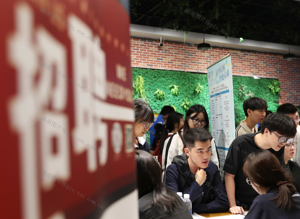 大学生 就业 校园 招聘会