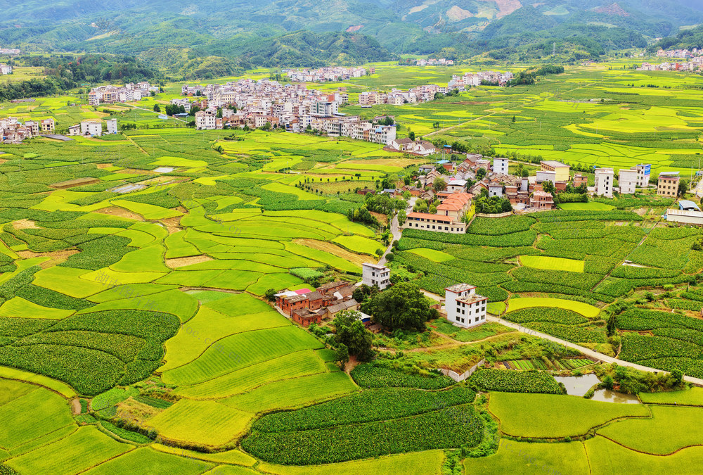 临武：秋日田园“丰”景美