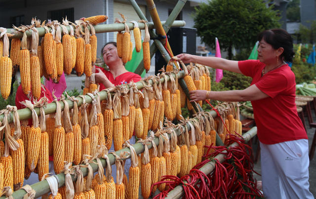 湖南桂东 村民 晒秋 庆丰年