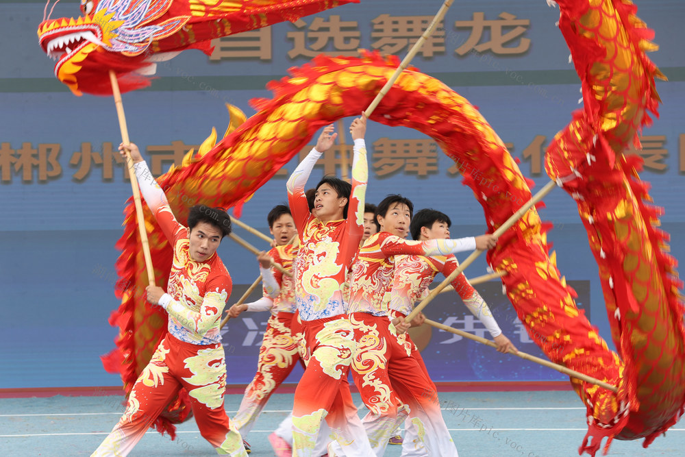 龙狮争霸展活力