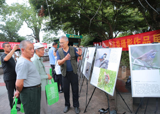 湖南桂东 “护鸟飞” 宣传 美好家园