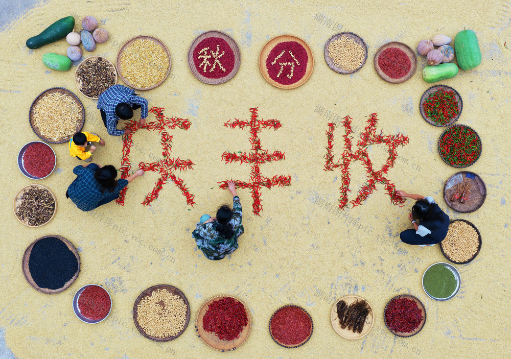 嘉禾：晒秋庆丰收